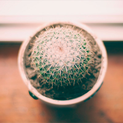 为企业增效益的DDOS压力测试网页端